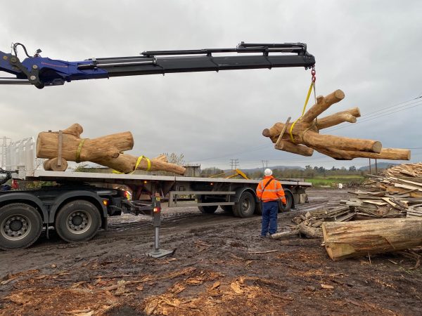 Play Tree, Delivery, Loading, oak, fallen tree, london, shop