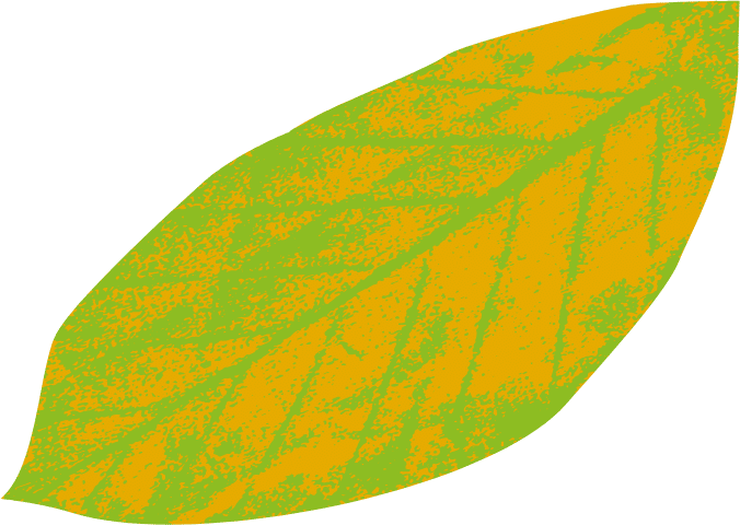 Yellow Leaf