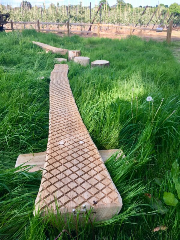 Balance Beam - Image 5