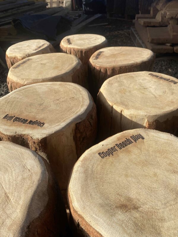 Log seats, natural play, forest school, playground