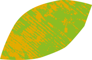 Green and Yellow Leaf