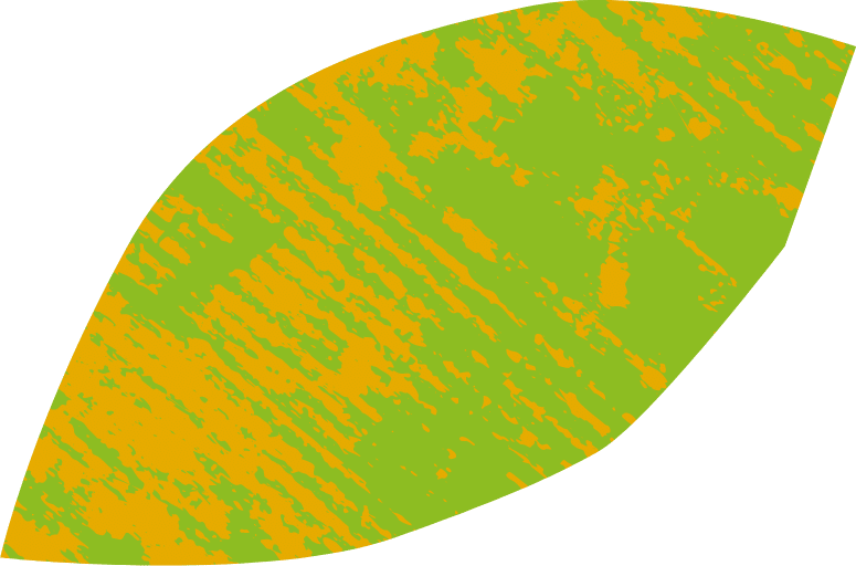 Green and Yellow Leaf
