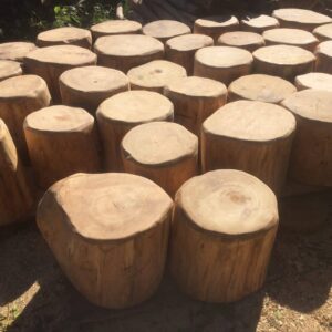 log seats, forest school, shop, playgound, play area, outdoor seating, childrens, seats, natural, wooden