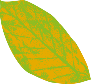 Natural Play Green and Yellow Leaf