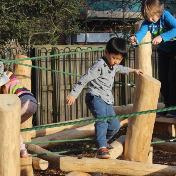 Tangle Frame, climbing frame, natural play, timber, school, park, playground
