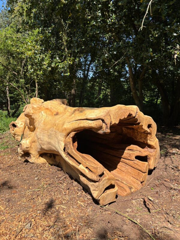 Log Tunnel - Image 10