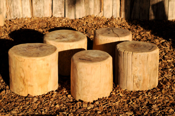 Log Seats x5 - Image 4