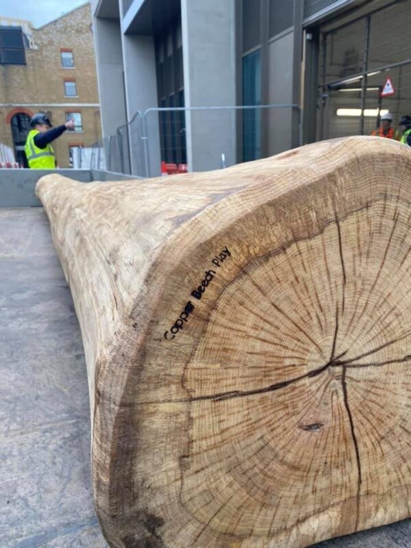 Play Tree Trunk - Image 2