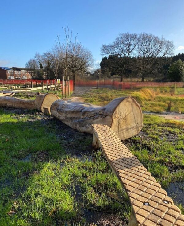 Play Tree Trunk - Image 6