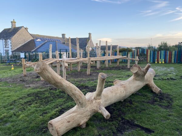 Play Tree Trunk - Image 7
