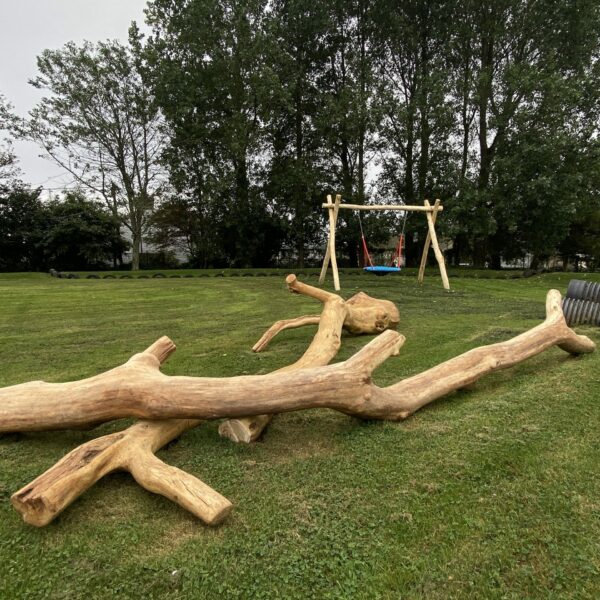 Play tree, balance, play log, shop, natural play, school