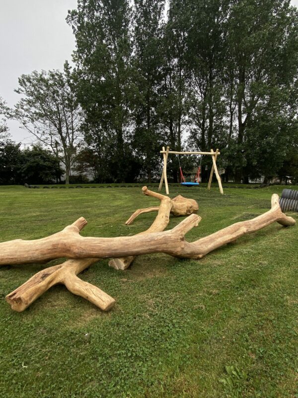 Play tree, balance, play log, shop, natural play, school