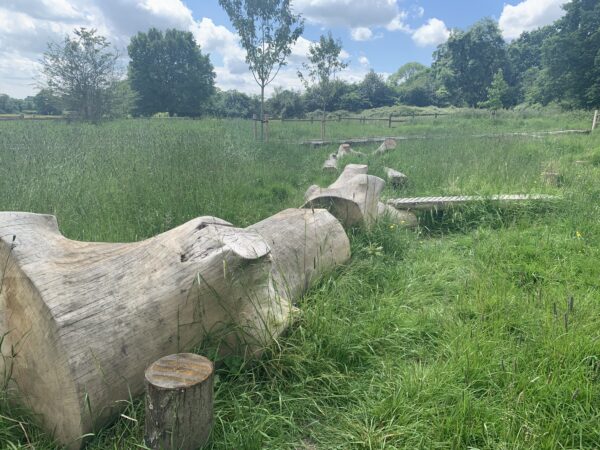 Play Tree Trunk