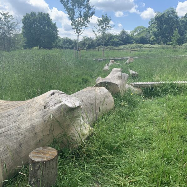 Play Tree Trunk