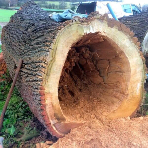 Wooden Tunnel