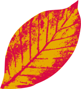 Yellow and Red Leaf