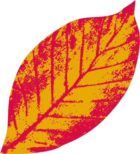 Yellow and Red Leaf