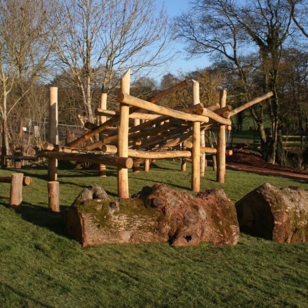 Large Logs