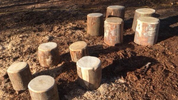 Rustic log seats, forest school, shop, natural play
