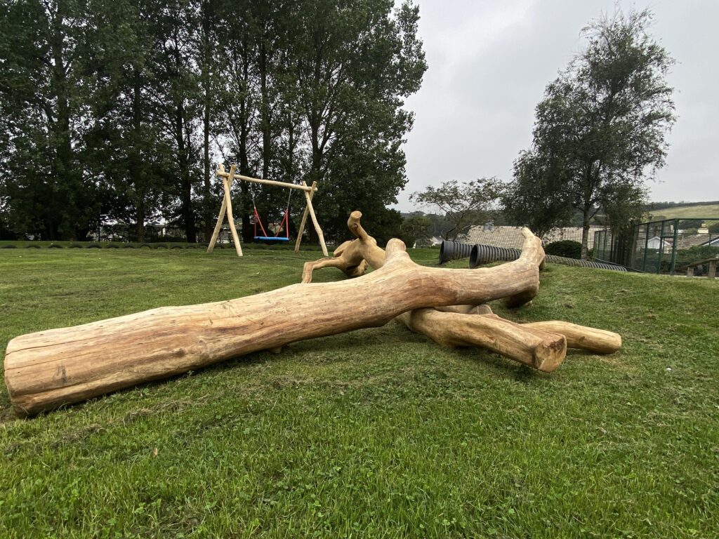 Play Tree Top - Copper Beech Play