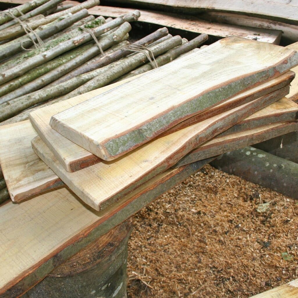 Shop copper beech play