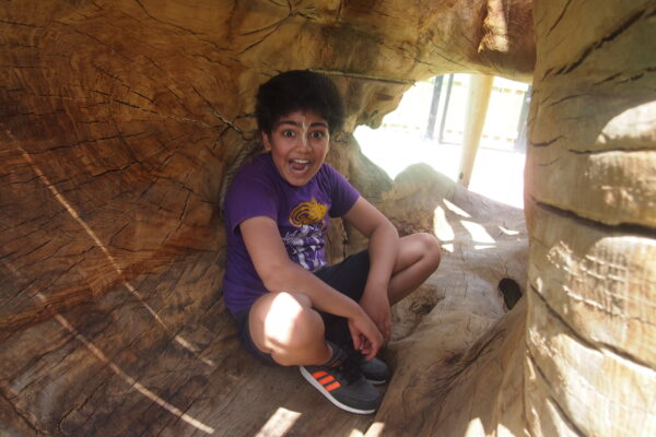 Log Tunnel