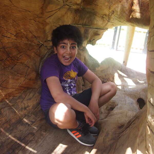 Log Tunnel