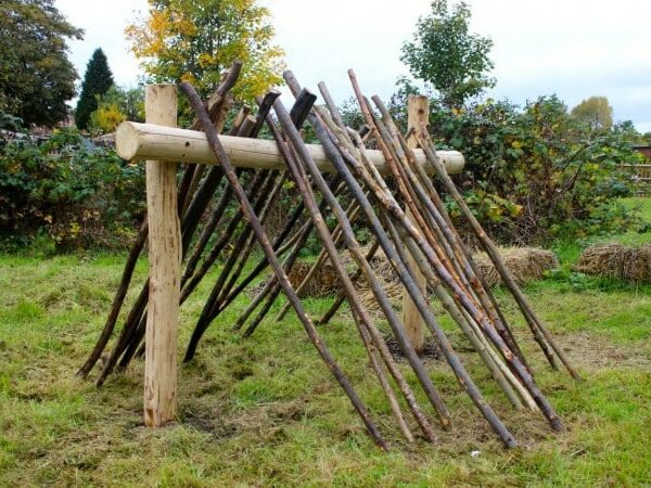 Dens & Building Blocks