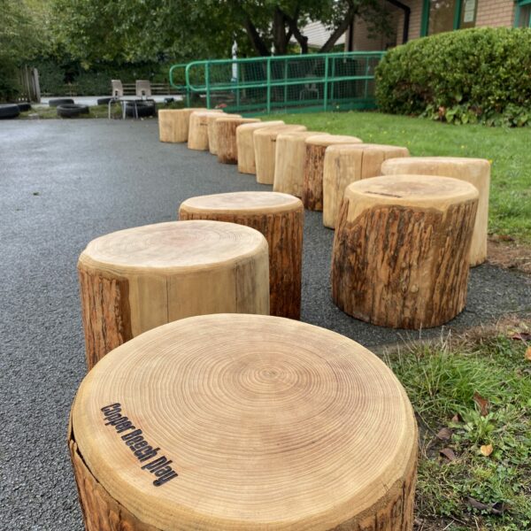 log seats , forest school, fire pit, outdoor classroom, stepping, log, play