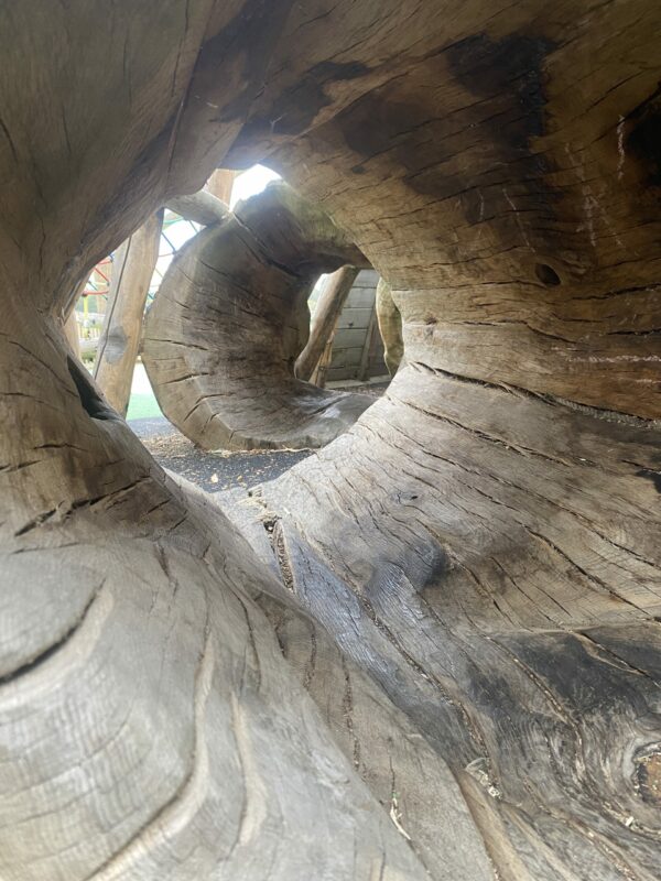Natural play, tunnel, log, fallen, play, tree, timber, feature, natural play, forest school