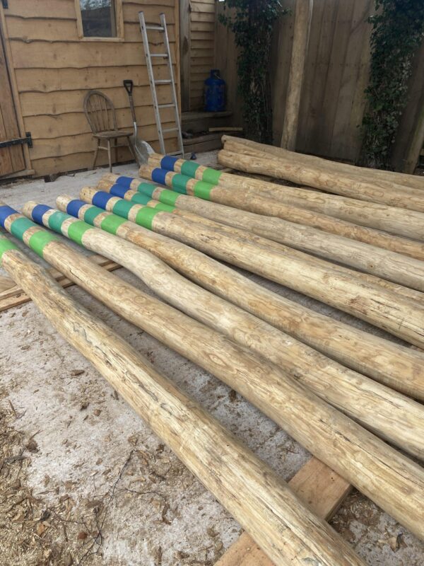 Painted Feature Poles - Image 3