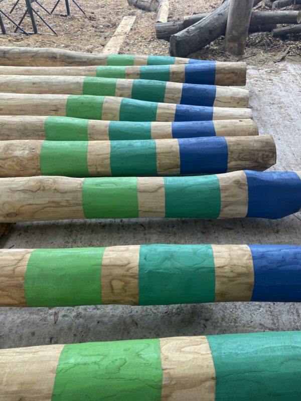 Painted Feature Poles - Image 4