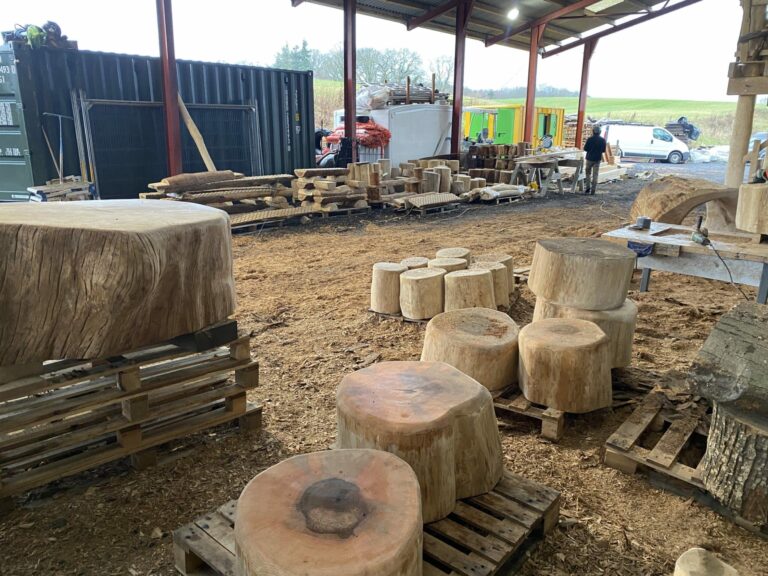 Huge Loose Feature Stepping Logs Copper Beech Play