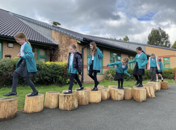 Stepping Logs XL x5 - Image 4