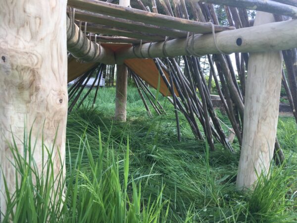 Den building, den, hideout, forest school