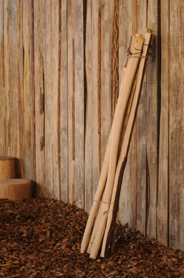 cleft chestnut den poles, den building, school, natural play, forest school