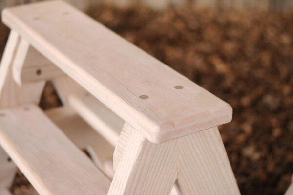 Play Trestles - Image 4